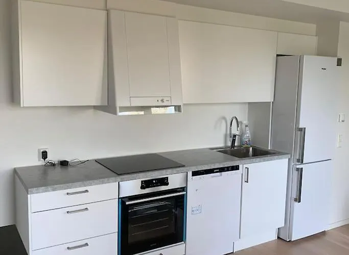 Scandpoint Fornebu Near Sea Front With Outdoor Walk! Стабекк